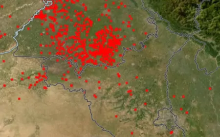 पड़ोसी राज्यों की तुलना में हरियाणा में कम हुए पराली जलाने के केस, नासा की वेबसाइट पर दिखा हरियाणा का प्रबंधन