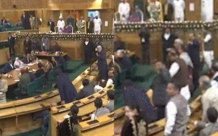 धारा 370 की लड़ाई...हाथापाई पर आई, विधानसभा में मचा बवाल 