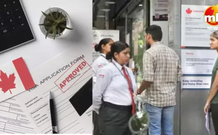 कनाडा में विदेशी छात्रों के लिए बड़ा फैसला, SDS योजना बंद, अन्य देशों के छात्रों पर पड़ेगा असर