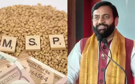 हरियाणा में धान की खरीद शुरू, किसानों के खातों में भुगतान 72 घंटों के भीतर