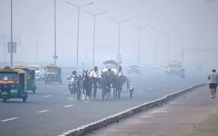 दिल्ली में सांस लेना मुश्किल ! AQI 360 के पार.. कई इलाकों की हवा बेहद खराब