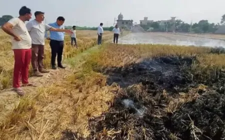 पराली जलाने को लेकर हरियाणा सरकार सख्त, वसूला दोगुना जुर्माना 