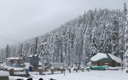 कश्मीर घाटी में सीजन की पहली बर्फबारी, कई इलाकों में बर्फ की चादर