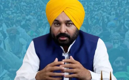 उपराष्ट्रपति के पास पहुंचा पंजाब यूनिवर्सिटी में सीनेट चुनाव का मुद्दा, CM मान ने लिखा पत्र