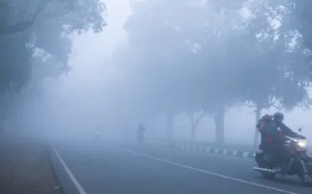 Haryana Weather: हरियाणा के इन जिलों में धुंध का Yellow Alert, इस दिन से बढ़ेगी ठंड