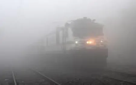 हिसार में छाया घना कोहरा, कई ट्रेनें हुई प्रभावित