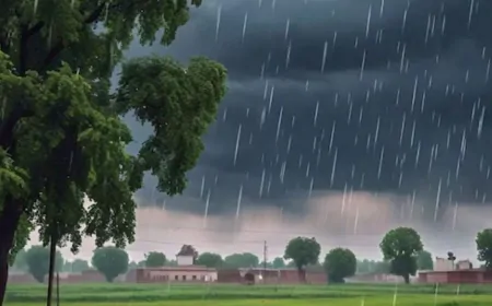 पंजाब के इन 4 जिलों में बारिश के आसार, यहां जानें मौसम का पूरा हाल...