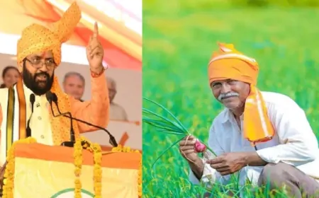 हरियाणा सरकार ने किसानों के लिए की ये नई योजनाएं शुरू, सीएम नायब सैनी का बड़ा एलान