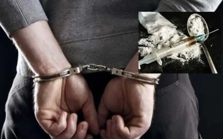 तरनतारन में नशा तस्करों पर बड़ी कार्रवाई: करोड़ों की संपत्ति सीज,  हेरोइन और ड्रग मनी बरामद