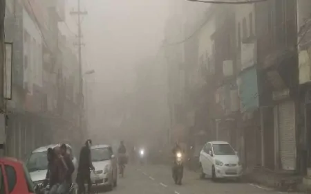 Weather: धुंध की चादर में लिपटा जालंधर, विजिबिलिटी बेहद कम