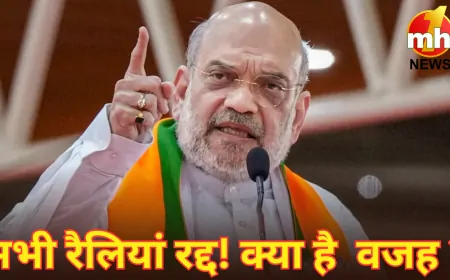 अमित शाह की सभी रैलियां रद्द ! क्या है अचानक दिल्ली लौटने की वजह ?