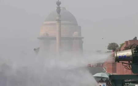 दिल्ली में प्रदूषण हुआ जानलेवा, GRAP-4 लागू, इन Class को छोड़ सभी की पढ़ाई ऑनलाइन