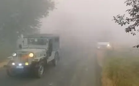 Haryana Weather: हरियाणा में बढ़ने लगी ठंड़, धुंध से विजिबिलिटी भी कम