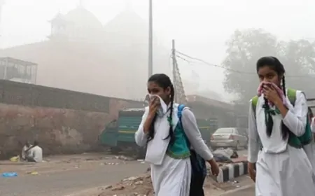 Delhi Air Pollution : दिल्ली-NCR में बंद रहेंगे सभी स्कूल-कॉलेज, ऑनलाइन मोड में चलेंगी सभी क्लासेस
