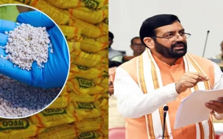 हरियाणा में DAP खाद की कोई कमी नहीं, राज्य में पर्याप्त स्टॉक उपलब्ध- CM नायब सैनी