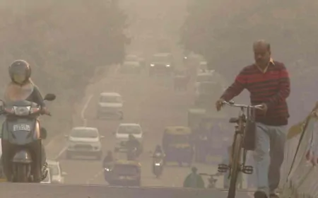 हरियाणा में वायु प्रदूषण पहुंचा इतना की मच गया हाहाकार, कई जिलों में AQI के आंकड़े...