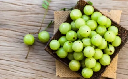 सर्दियों में खाएं आंवला, बाल से लेकर पेट तक होगा फायदा, जानें खाने का तरीका