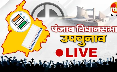Punjab Bypoll Voting 2024: पंजाब की चार सीटों पर वोटिंग जारी,1 बजे तक लगभग 36.46% वोटिंग
