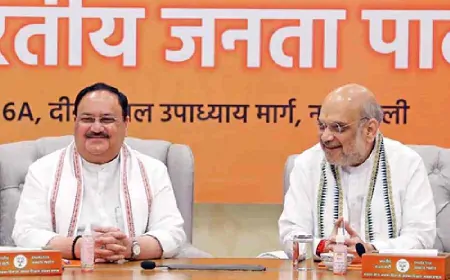 भाजपा ने संगठन चुनाव को लेकर पार्टी मुख्यालय में बुलाई बैठक, सभी संगठन मंत्री और राज्यों के प्रभारी भी रहेंगे मौजूद 