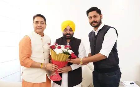 अमन अरोड़ा पंजाब AAP के नए अध्यक्ष बनाए गए, अमनशेर कलसी बने कार्यकारी अध्यक्ष