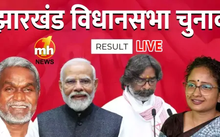 Jharkhand Election Results 2024 LIVE: रुझानों में झारखंड में JMM की सरकार ! 41 का बहुमत और 50 सीटों पर बढ़त... NDA बहुमत से पीछे