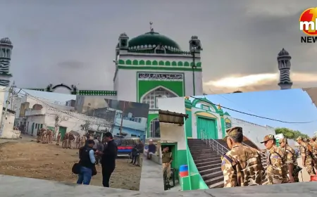 Sambhal Masjid Survey: संभल की जामा मस्जिद में सर्वे, सुरक्षा के कड़े इंतजाम, इलाके में बढ़ा तनाव