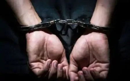 3.60 करोड़ की अफीम के साथ 4 तस्कर गिरफ्तार, झारखंड से पंजाब हो रही थी सप्लाई