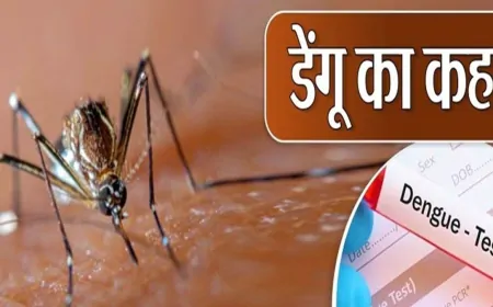 हरियाणा में जानलेवा हुआ डेंगू का डंक ! प्रदेश में अब तक 5 लोगों की मौत, 5600 हुई एक्टिव मरीजों की संख्या