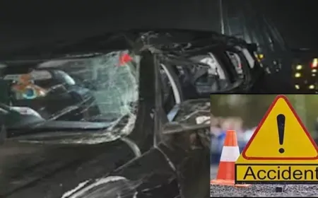 कन्नौज: डिवाइडर तोड़कर ट्रक से टकराई कार, 5 डॉक्टरों की हुई मौत                                                                                                                                                                                     