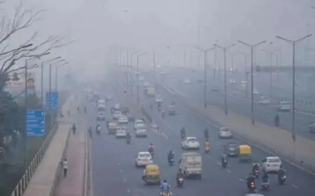 Delhi Pollution: SC का आदेश ! वायु प्रदूषण पर GRAP-4 की पाबंदियां दो दिसंबर तक रहे लागू