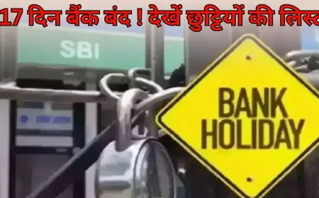 दिसंबर 2024 में बैंक हॉलिडे, जानें कब-कब बंद रहेंगे बैंक