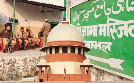 सुप्रीम कोर्ट में संभल हिंसा मामले की सुनवाई,कहा- निचली अदालत कोई ऐक्शन ना लें