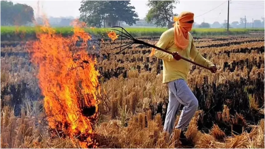 पराली जलाने पर अब लगेगा दोगुना जुर्माना, केंद्र सरकार का सख्त कदम