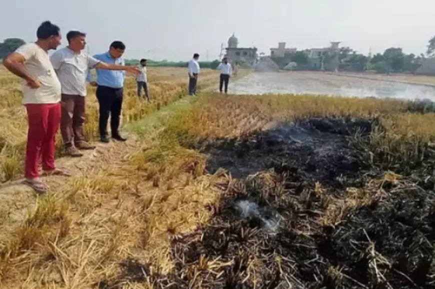 पराली जलाने को लेकर हरियाणा सरकार सख्त, वसूला दोगुना जुर्माना 