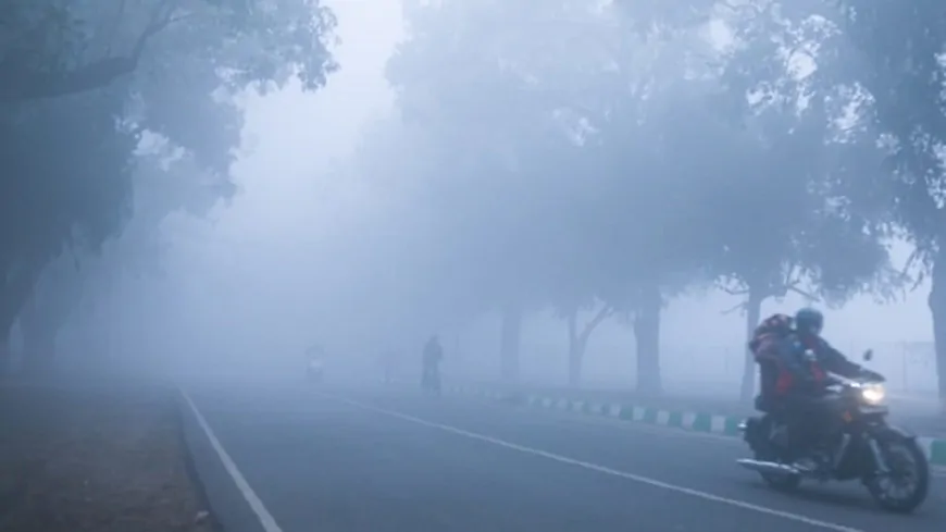 Haryana Weather: हरियाणा के इन जिलों में धुंध का Yellow Alert, इस दिन से बढ़ेगी ठंड