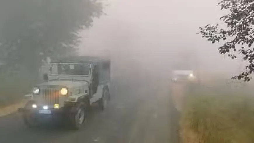 Haryana Weather: हरियाणा में बढ़ने लगी ठंड़, धुंध से विजिबिलिटी भी कम