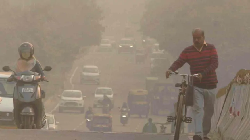 हरियाणा में वायु प्रदूषण पहुंचा इतना की मच गया हाहाकार, कई जिलों में AQI के आंकड़े...