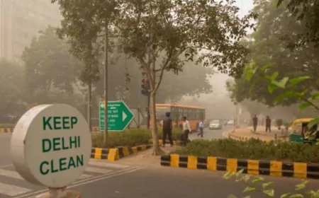 Delhi Pollution 2024: दिल्ली की हवा में दिसंबर में आया सुधार, 300 के नीचे पहुंचा कई जगहों का AQI