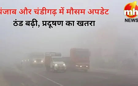 पंजाब-चंडीगढ़ में बढ़ी ठंड ! मौसम विभाग ने जारी किया बर्फबारी का अलर्ट, जानें इन शहरों का तापमान