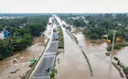 तमिलनाडु में चक्रवात 'फेंगल' का कहर,  दक्षिण भारत में भारी बारिश का अलर्ट