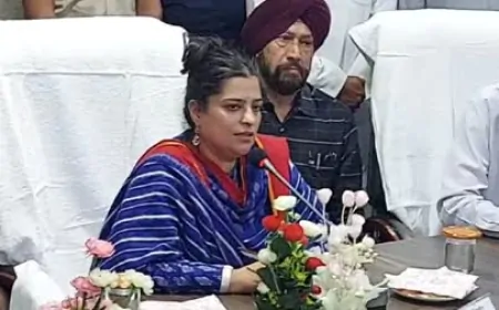 नहरों, नालों व रजबाहों की रिमॉडलिंग व रिहैबिलिटेशन योजना तैयार की जाए- श्रुति चौधरी