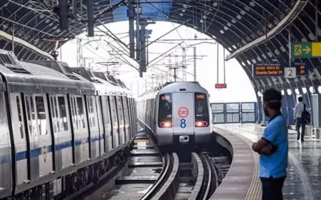 दिल्ली मेट्रो की ब्लू लाइन पर केबल काट गए लोग, लाखों यात्रियों को हुई परेशानी