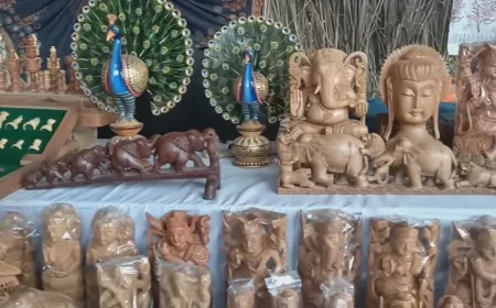 वेस्ट लकड़ी से पोट बनाकर कारविंग की शिल्पकला को मिल चुके हैं राष्ट्रीय और राज्य स्तर पर सम्मान