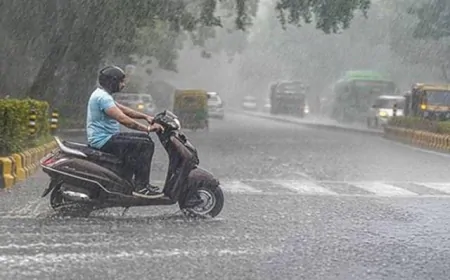 हरियाणा-पंजाब में मौसम बदलेगा करवट, झमाझम होगी बारिश, 19 जिलों में येलो अलर्ट