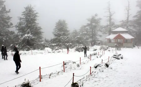 उत्तर भारत में बर्फबारी का कहर: पहाड़ से मैदान तक बढ़ी ठंड, हिमाचल में दो की मौत