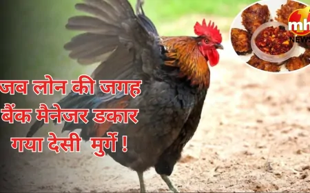 लोन देने के बजाय बैंक मैनेजर ने मांगी मुर्गे की 'भारी रकम', जानें पूरी कहानी !