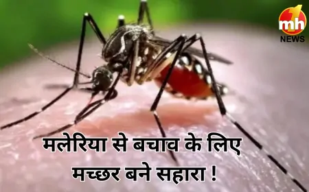 मच्छर अब देंगे मलेरिया से सुरक्षा ! वैज्ञानिकों ने तैयार की अनोखी वैक्सीन
