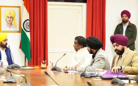 पंजाब में किसानों का जीवन स्तर ऊंचा उठाएगी बहुराष्ट्रीय कंपनी ग्रांट थॉर्नटन, CM मान ने दिया पूर्ण समर्थन और सहयोग का आश्वासन