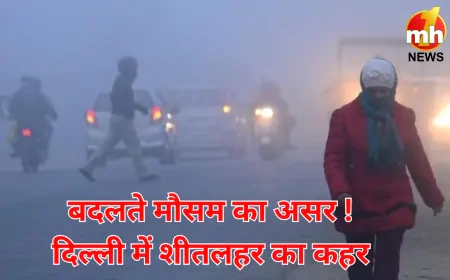 उत्तर भारत  में शीतलहर का कहर, इन राज्यों में बारिश का अलर्ट