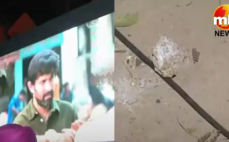 JNU में 'द साबरमती रिपोर्ट' की स्क्रीनिंग के दौरान बवाल, पत्थरबाजी का आरोप